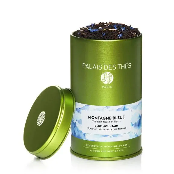 Palais Des Ths - Paris - Blue Mountain
