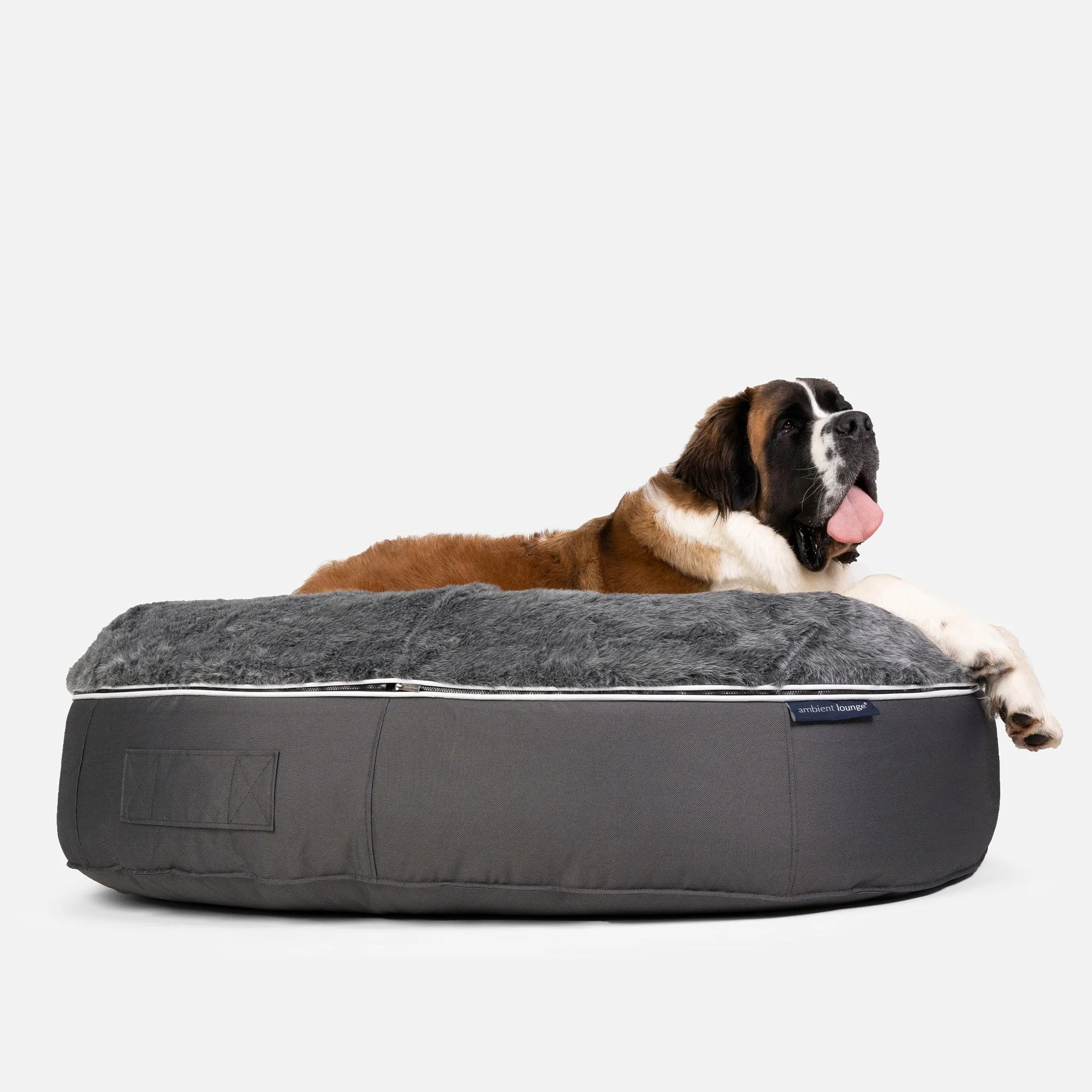 XXL Luxury Dog Bed - Interior/Outdoor